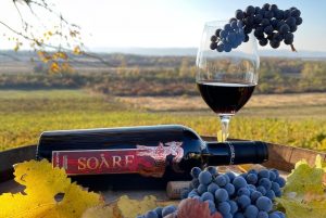 Vinarte Vinoteca SOARE